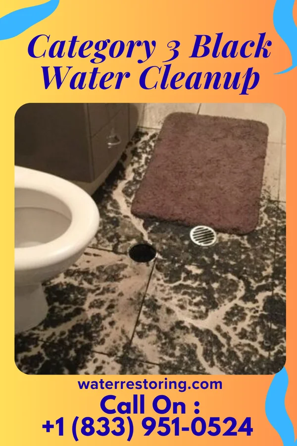 Category 3 Black Water Cleanup in Melrose, OR