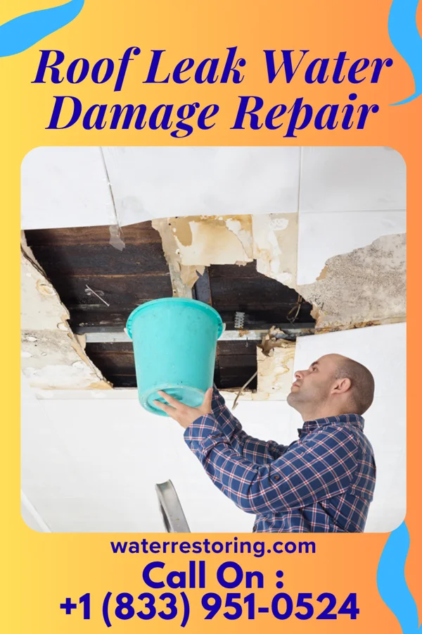 Roof Leak Water Damage Repair in Melrose, OR